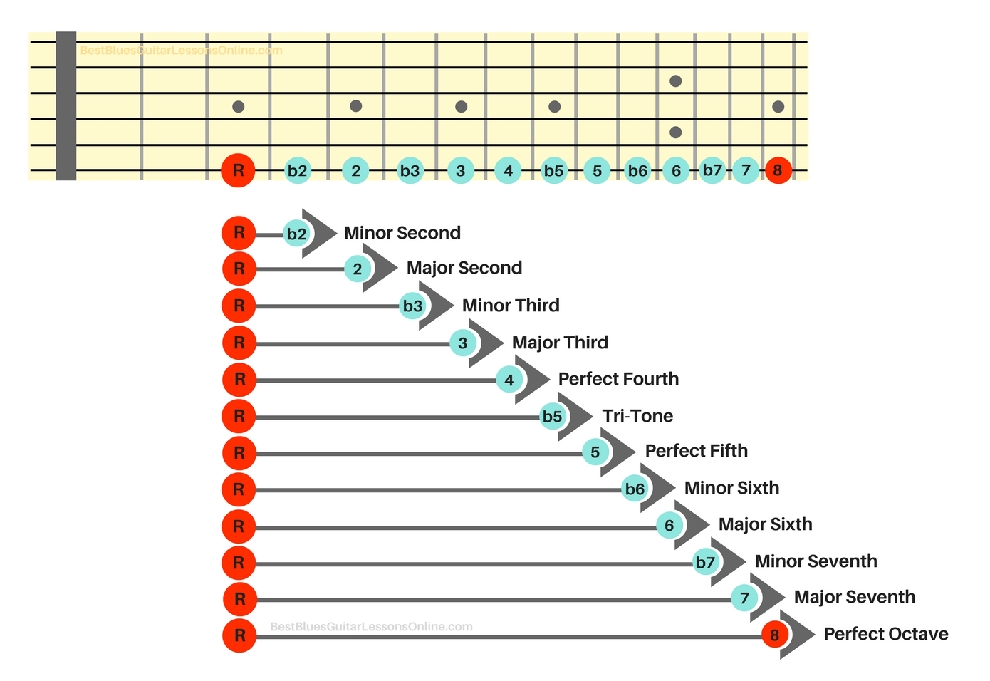 Guitar Fretboard Visualization Chart